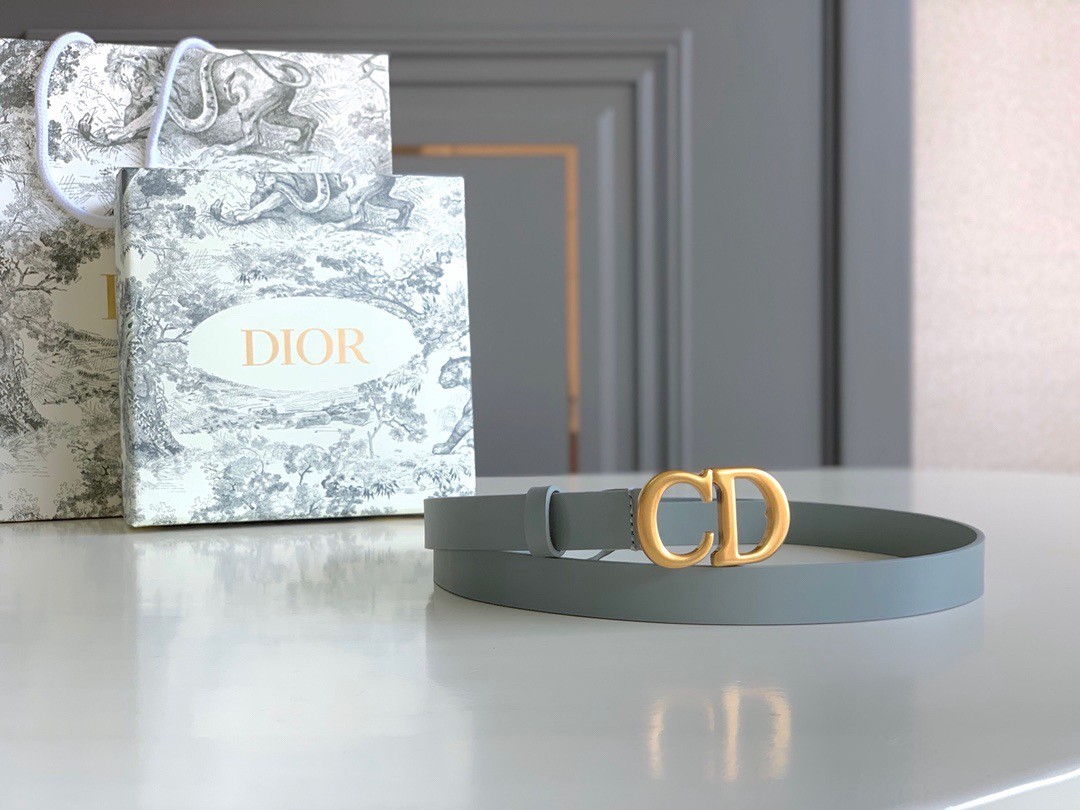 D*or saddle 20mm belt in grey calfskin