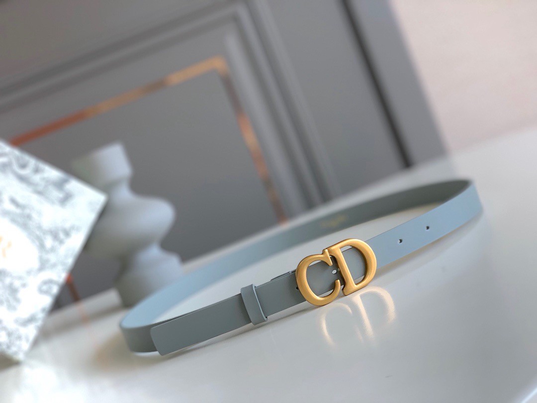 D*or saddle 20mm belt in grey calfskin