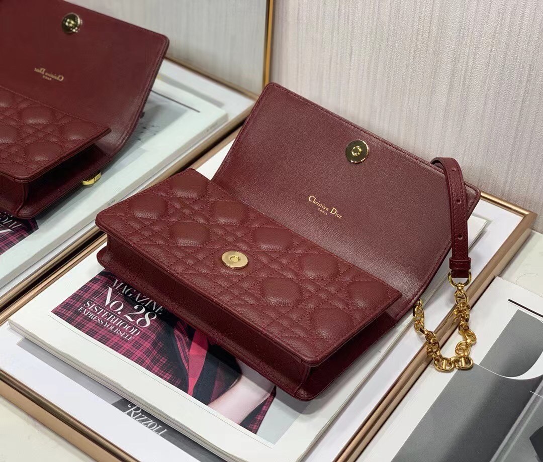 D*or caro belt pouch with chain in bordeaux calfskin