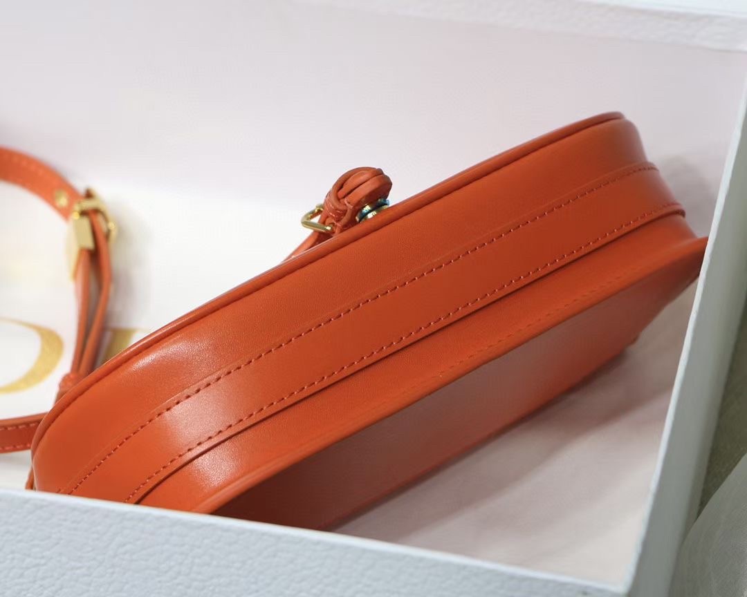 D*or bobby east-west bag in orange box calfskin