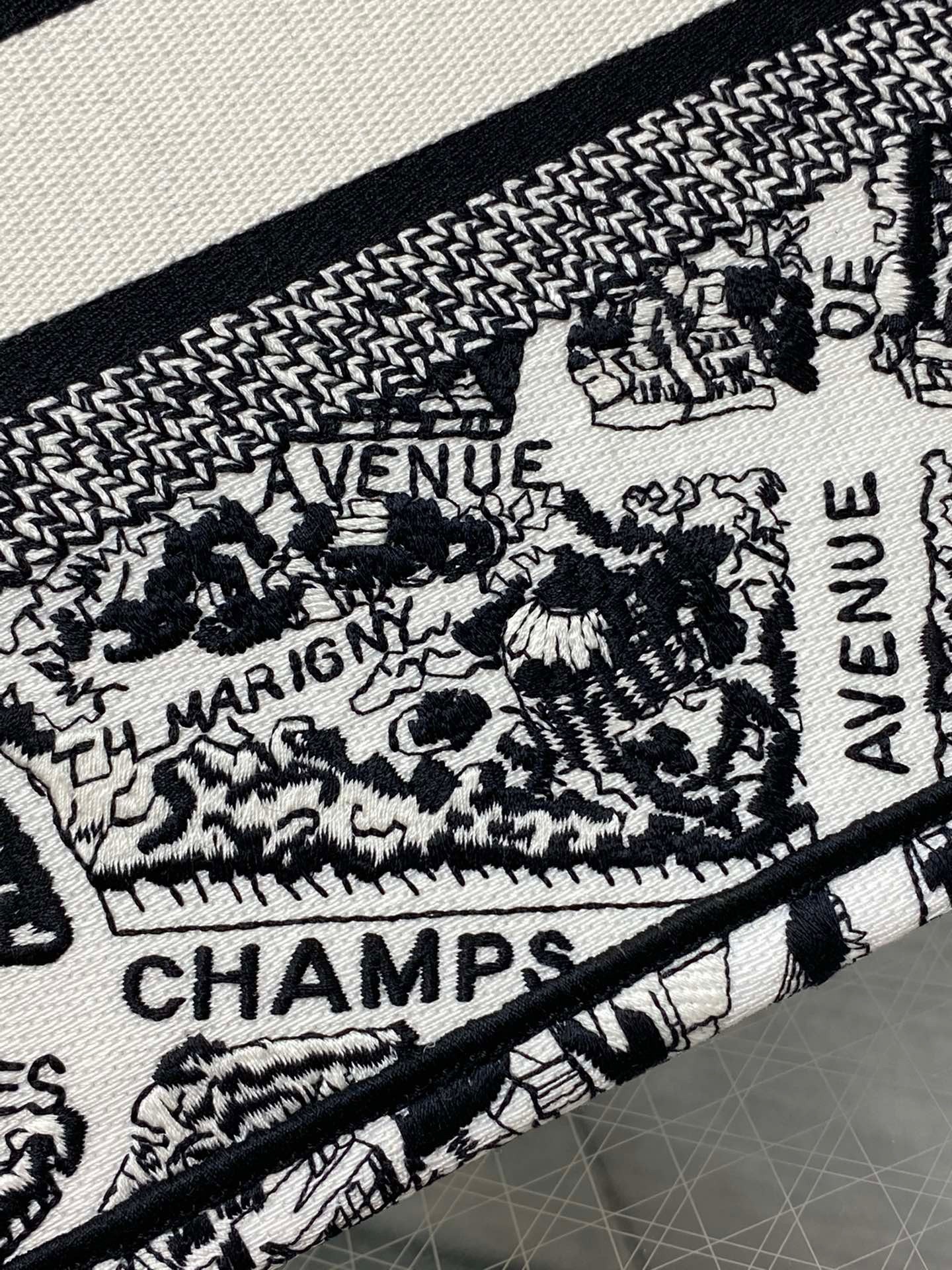 D*or small book tote bag in white plan de paris embroidery
