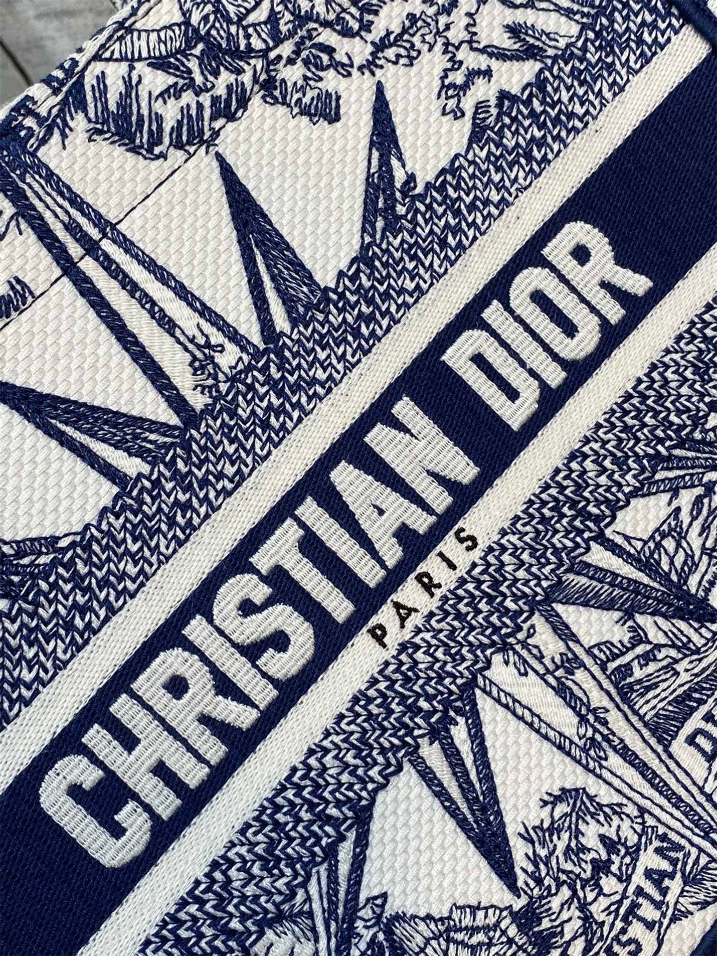 D*or small book tote bag in white & blue rêve d