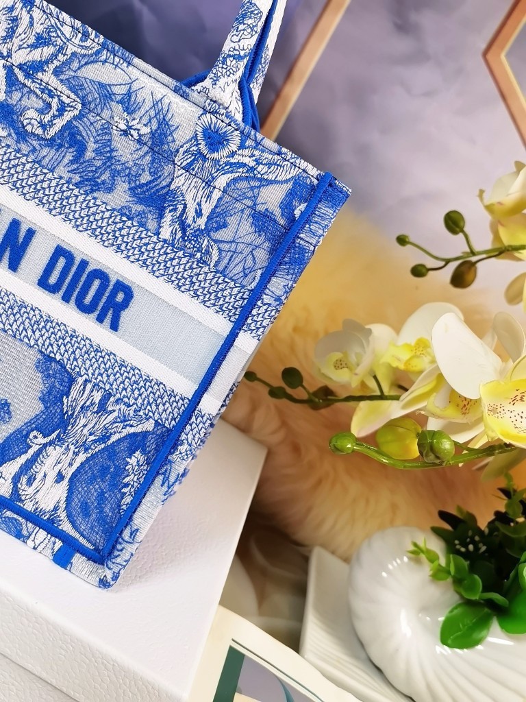 D*or small book tote bag in blue transparent toile de jouy canvas
