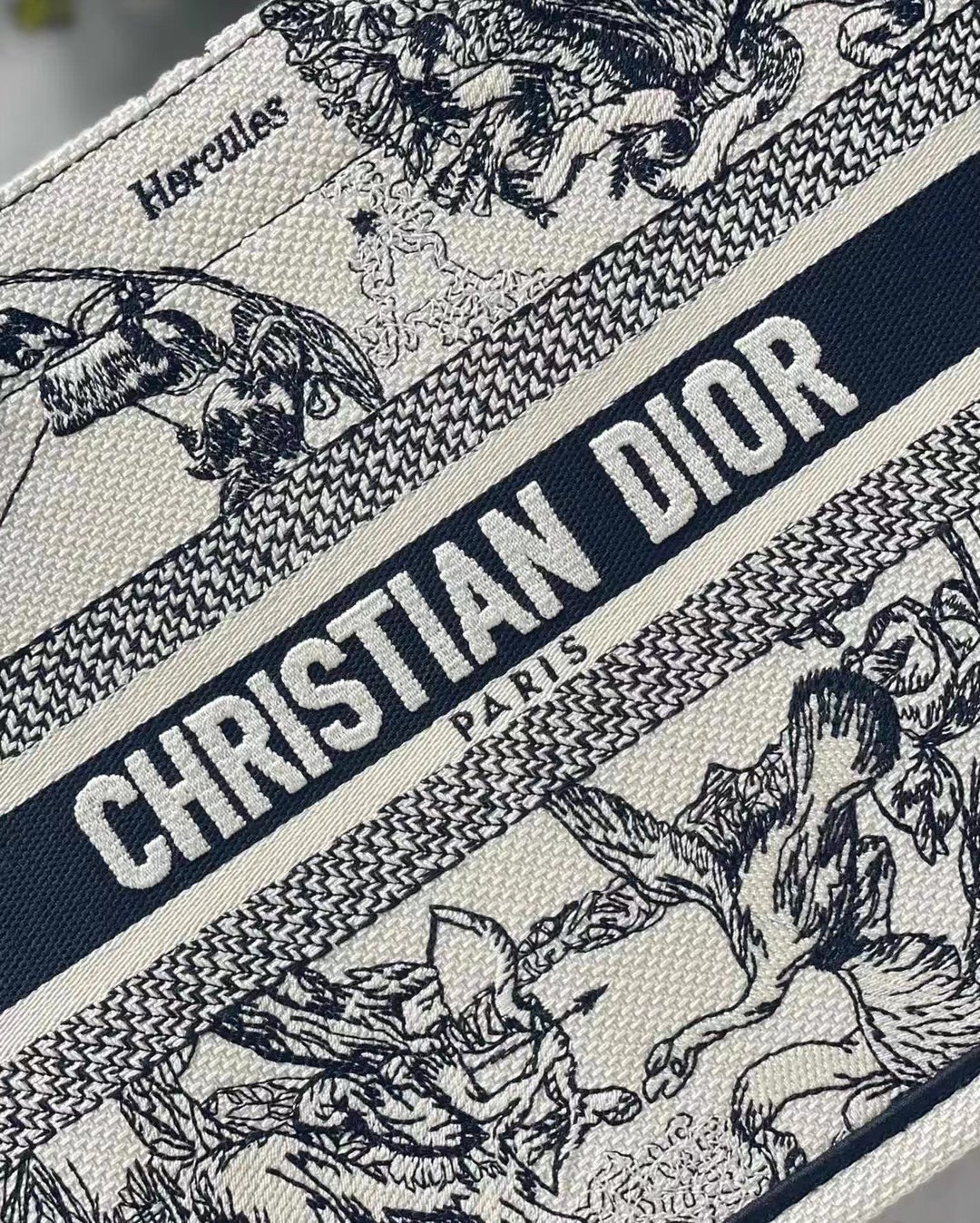 D*or new small book tote in white toile de jouy zodiac embroidery