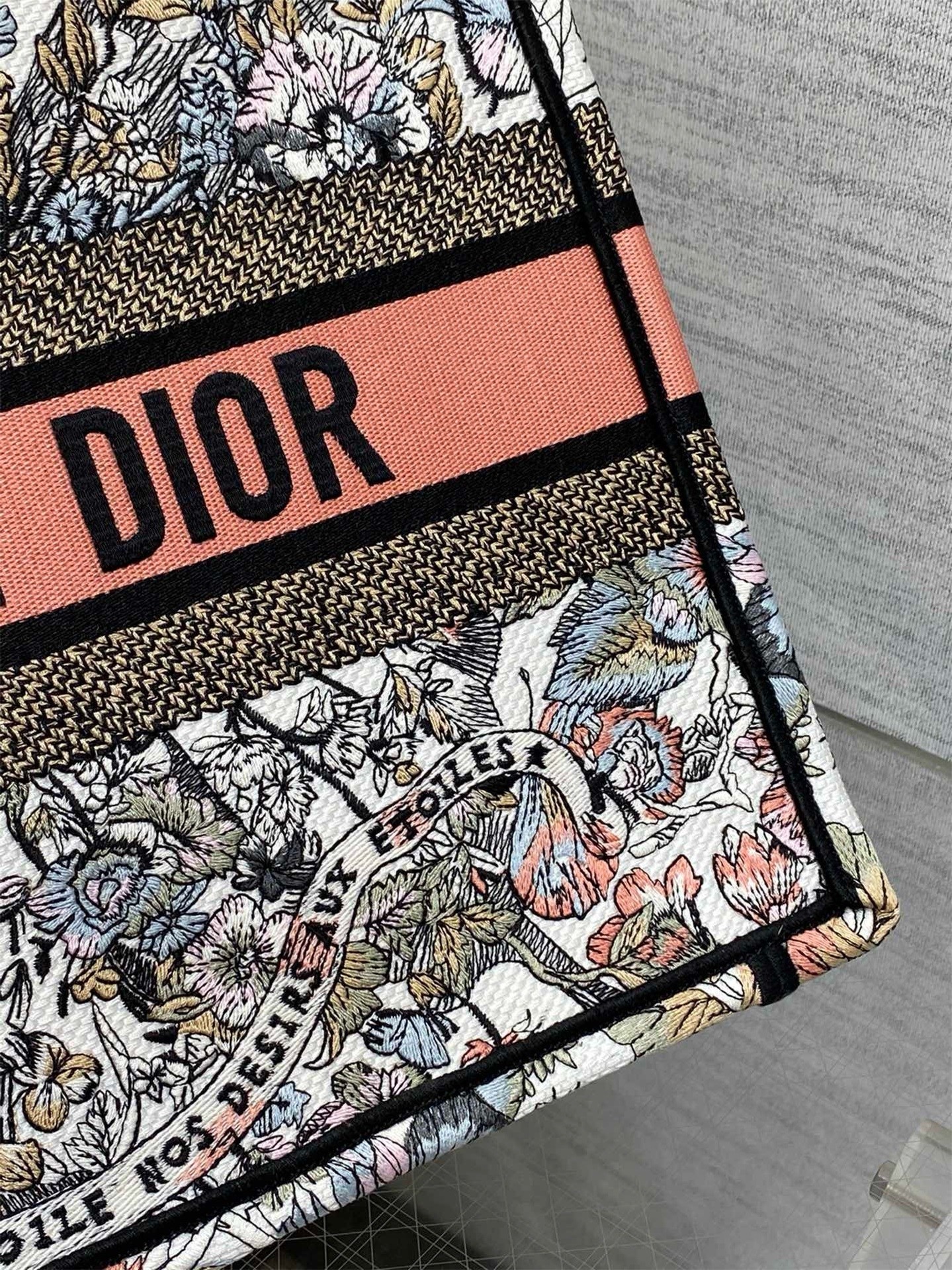 D*or medium book tote bag in butterfly around the world embroidery