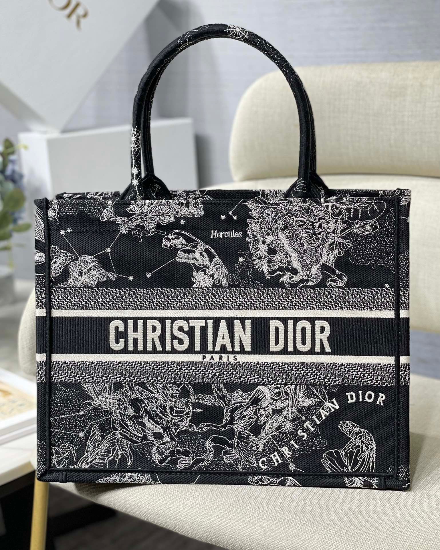 D*or medium book tote bag in black toile de jouy zodiac embroidery