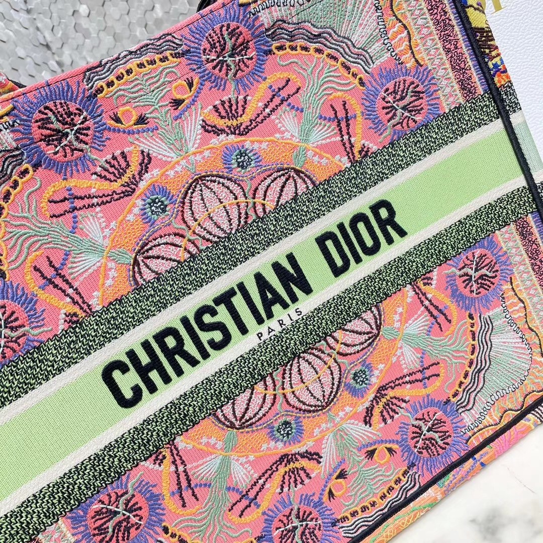 D*or book tote bag in multicolor lights embroidery