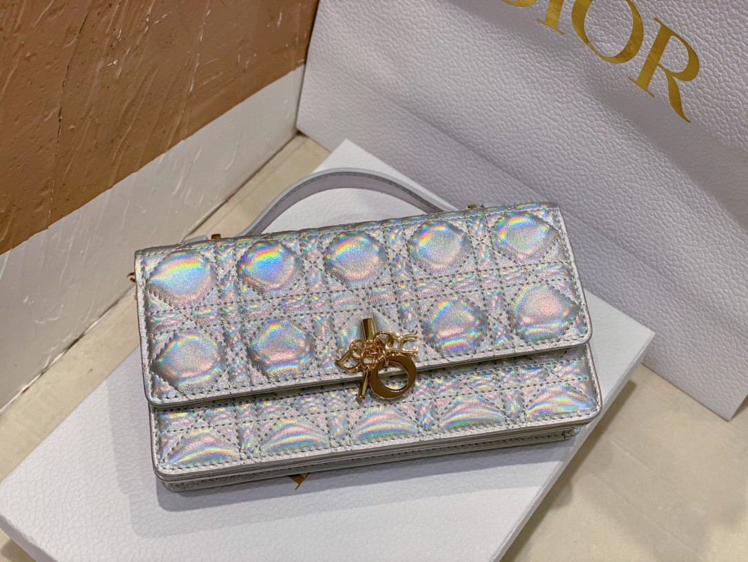 D*or miss D*or mini bag in iridescent metallic silver lambskin