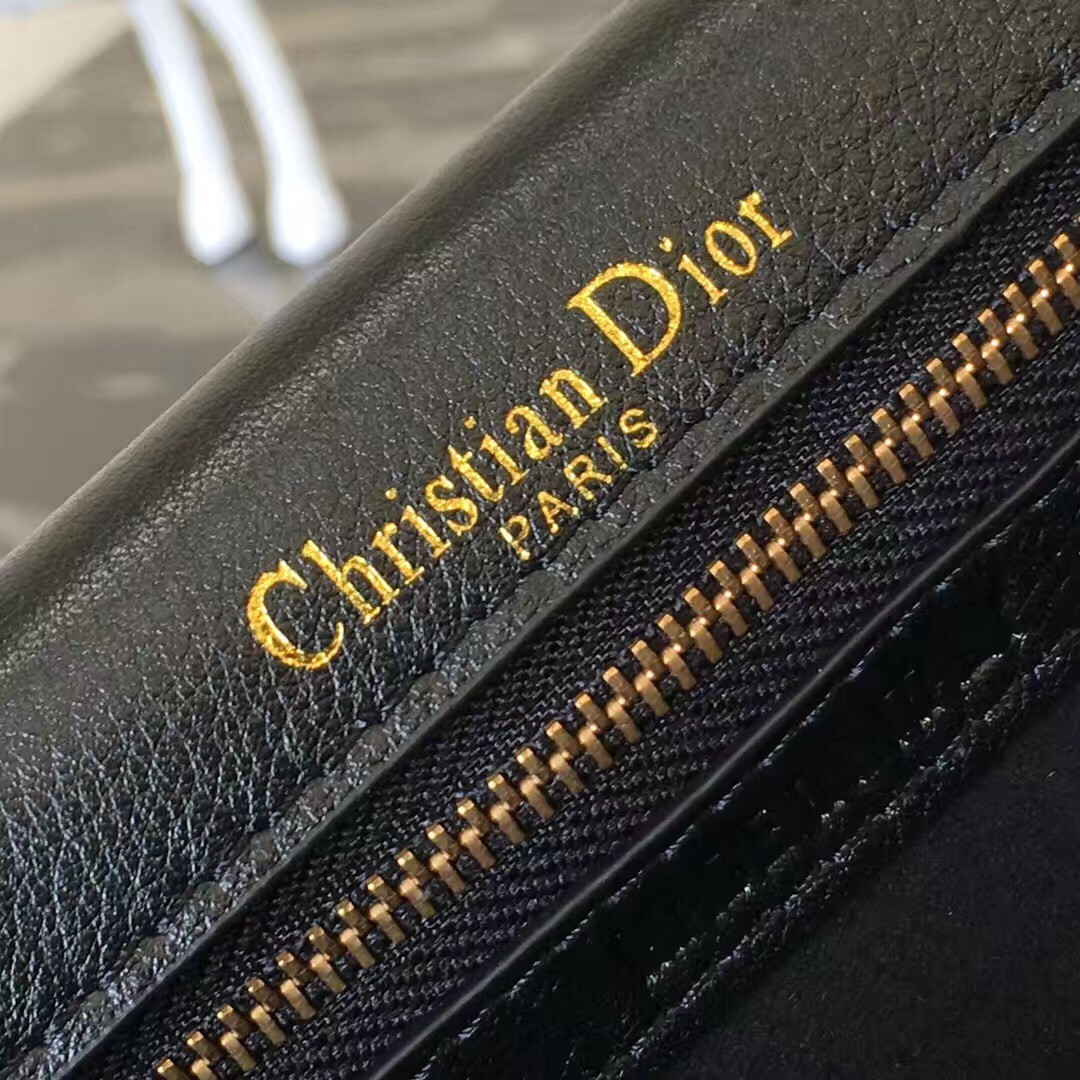 D*or D*orama bag in black studded lambskin
