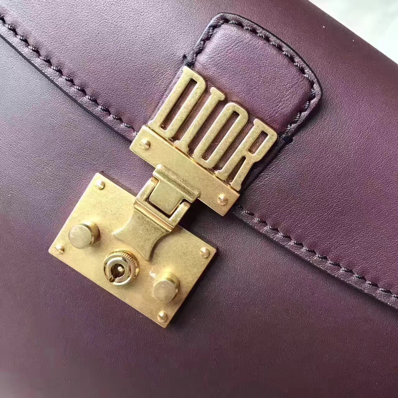 D*or D*oraddict tote bag in bordeaux calfskin
