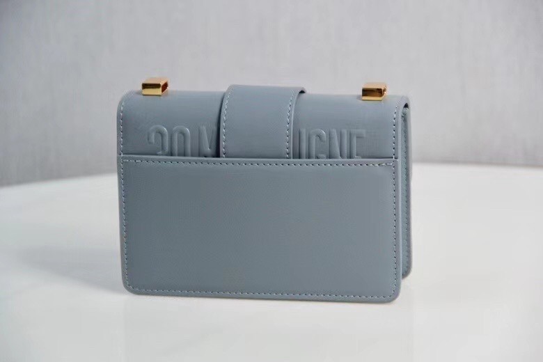 D*or micro 30 montaigne bag in grey calfskin