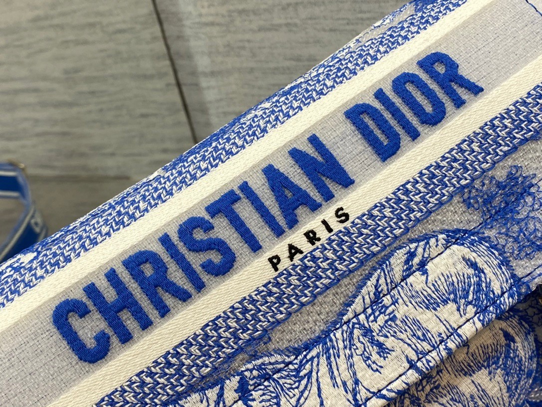D*or small D*orcamp bag in blue transparent toile de jouy canvas