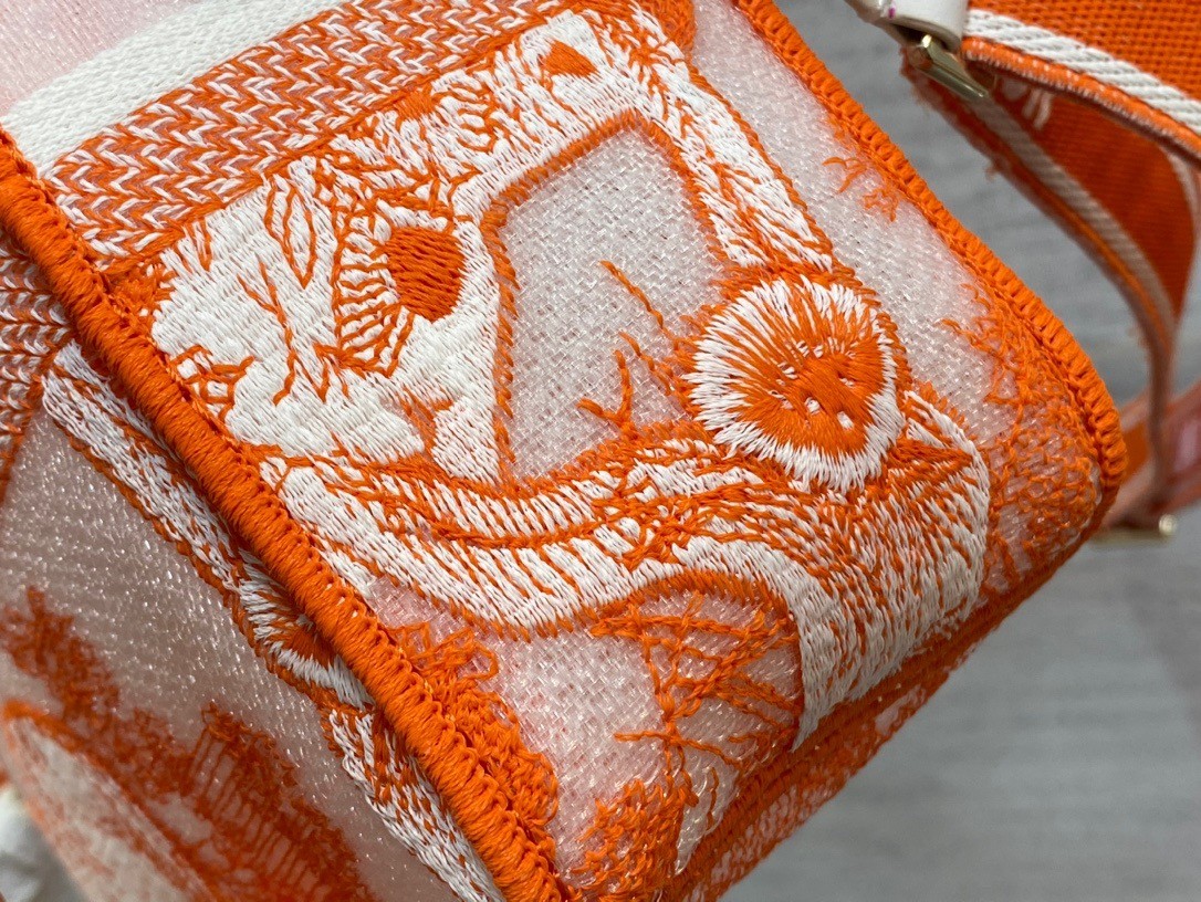 D*or small D*orcamp bag in orange transparent toile de jouy canvas