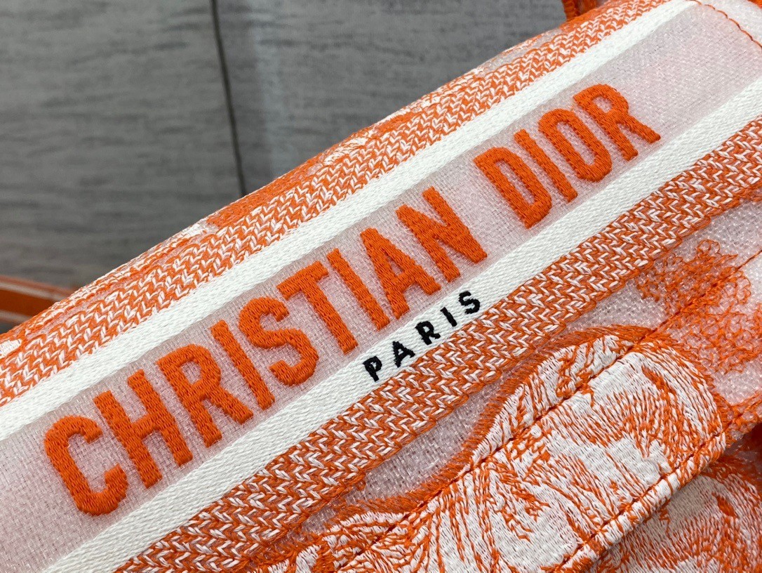 D*or small D*orcamp bag in orange transparent toile de jouy canvas