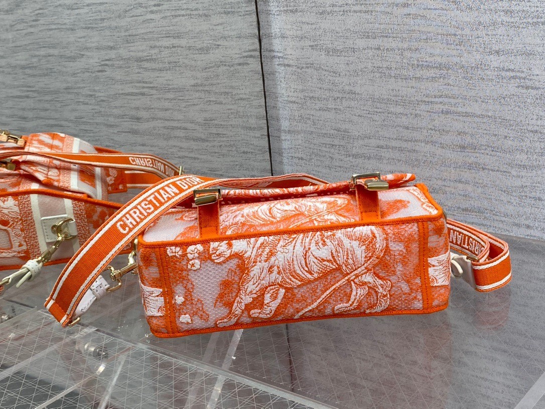 D*or small D*orcamp bag in orange transparent toile de jouy canvas
