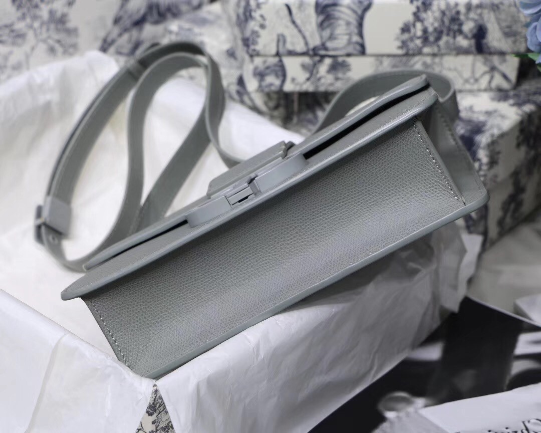 D*or 30 montaigne bag in grey ultra matte grained calfskin