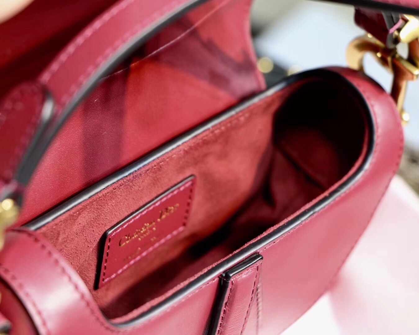 D*or mini saddle bag in red calfskin