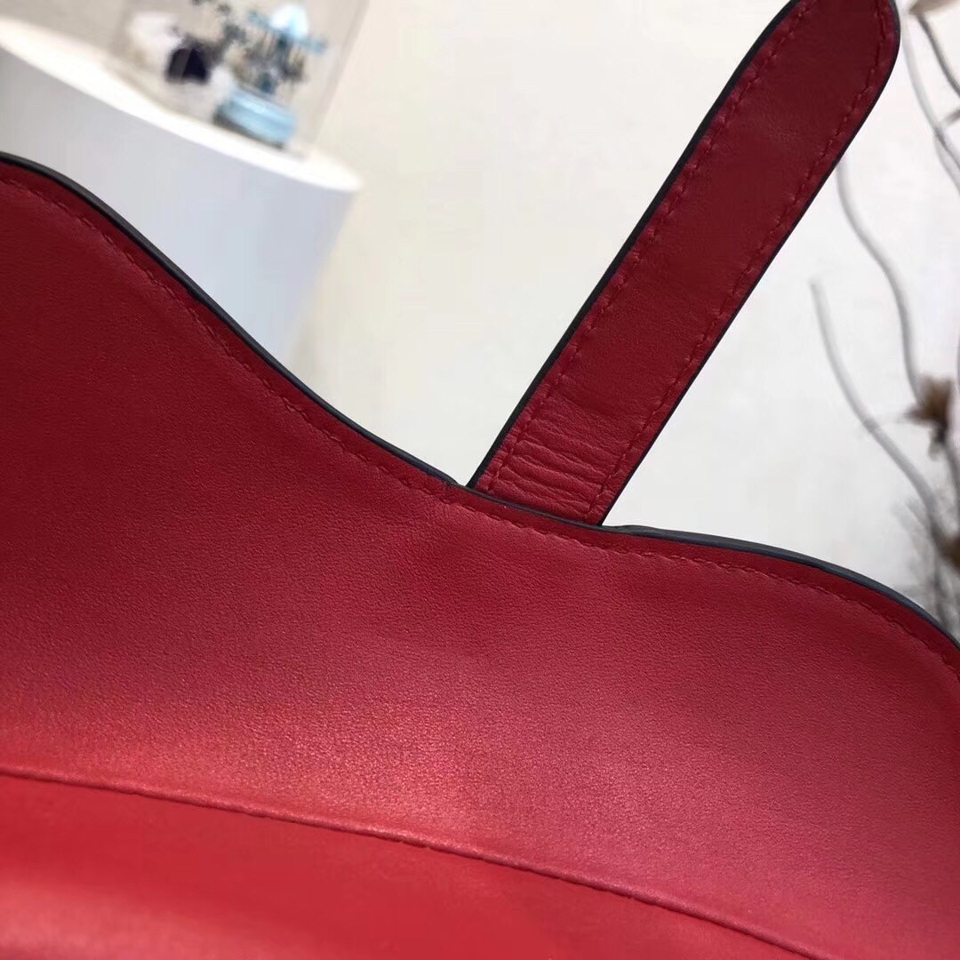 D*or mini saddle bag in red calfskin