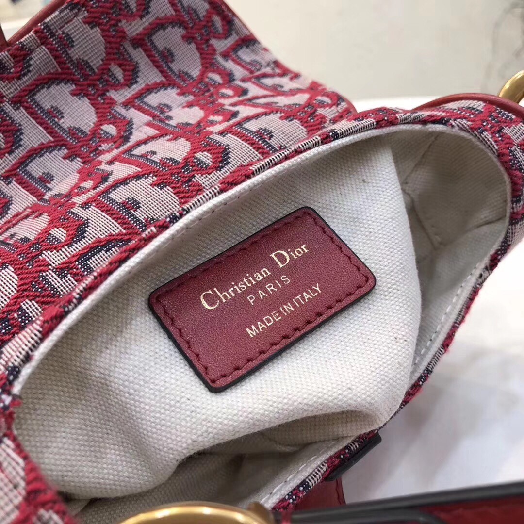 D*or mini saddle bag in bordeaux oblique jacquard canvas