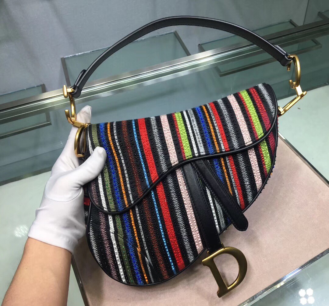 D*or saddle canvas bag embroidered with multi-coloured stripes
