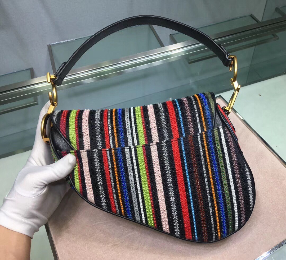 D*or saddle canvas bag embroidered with multi-coloured stripes