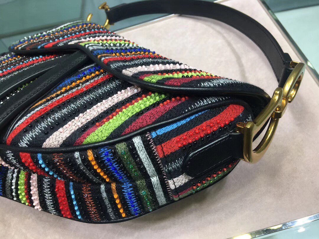 D*or saddle canvas bag embroidered with multi-coloured stripes