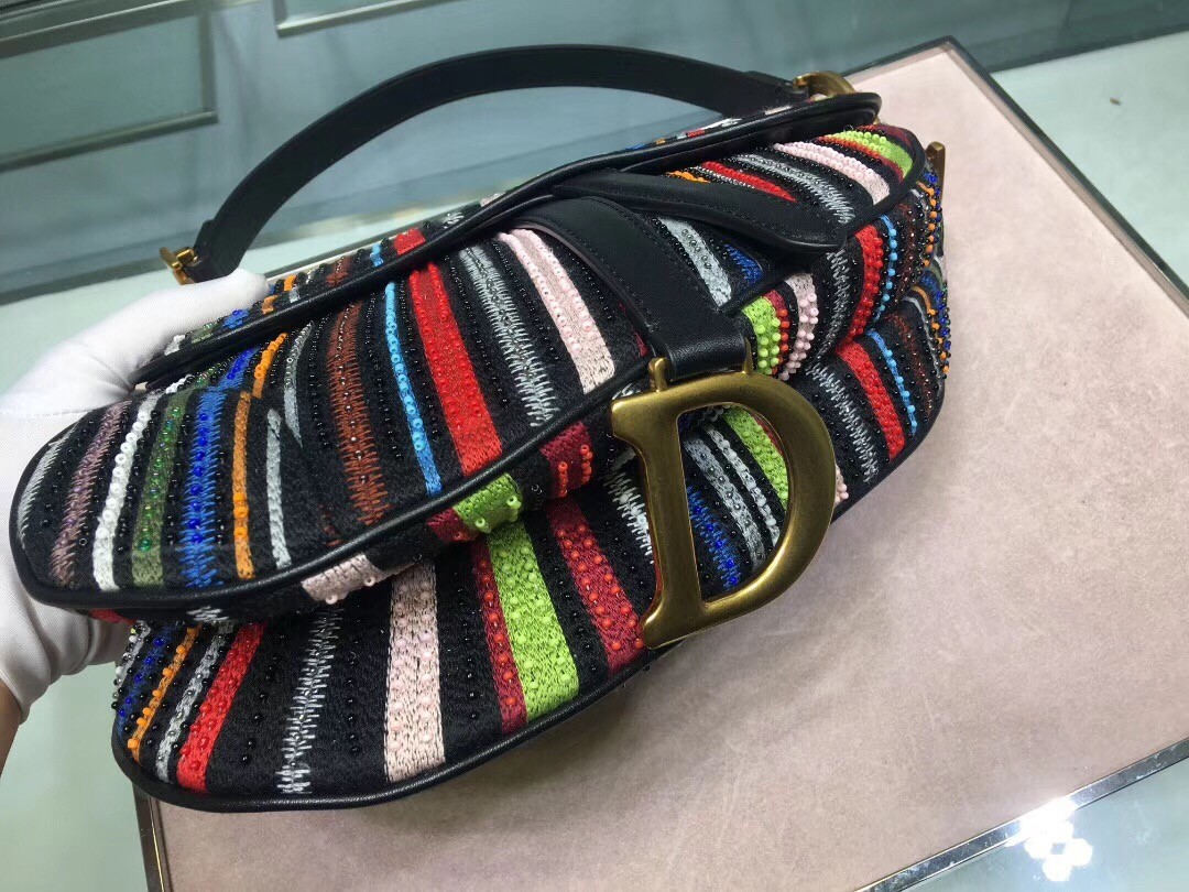 D*or saddle canvas bag embroidered with multi-coloured stripes