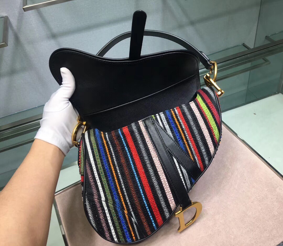D*or saddle canvas bag embroidered with multi-coloured stripes