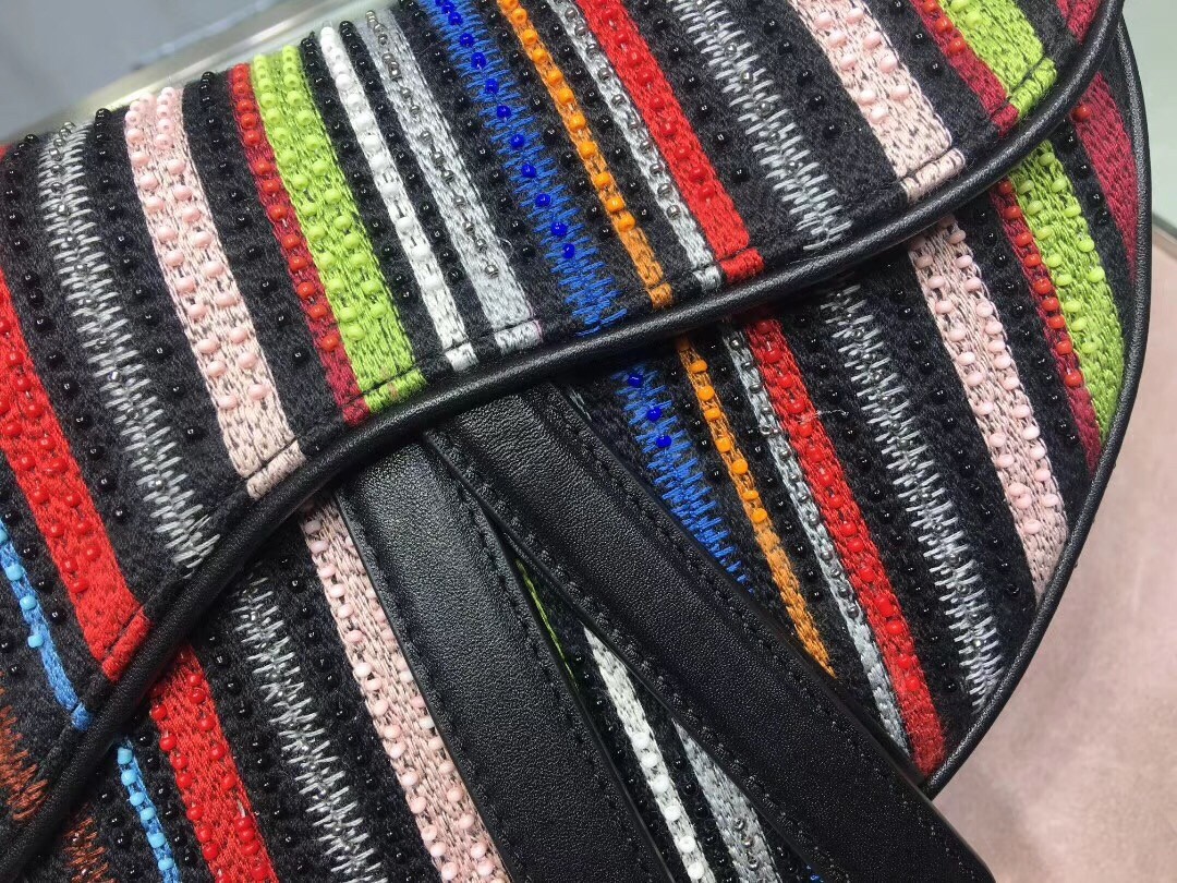 D*or saddle canvas bag embroidered with multi-coloured stripes