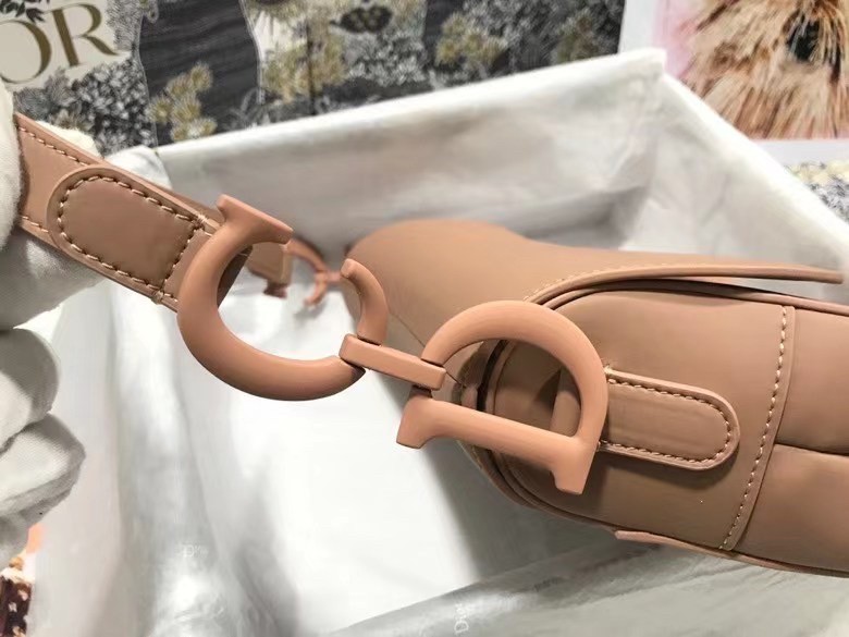 D*or saddle bag in blush ultramatte calfskin