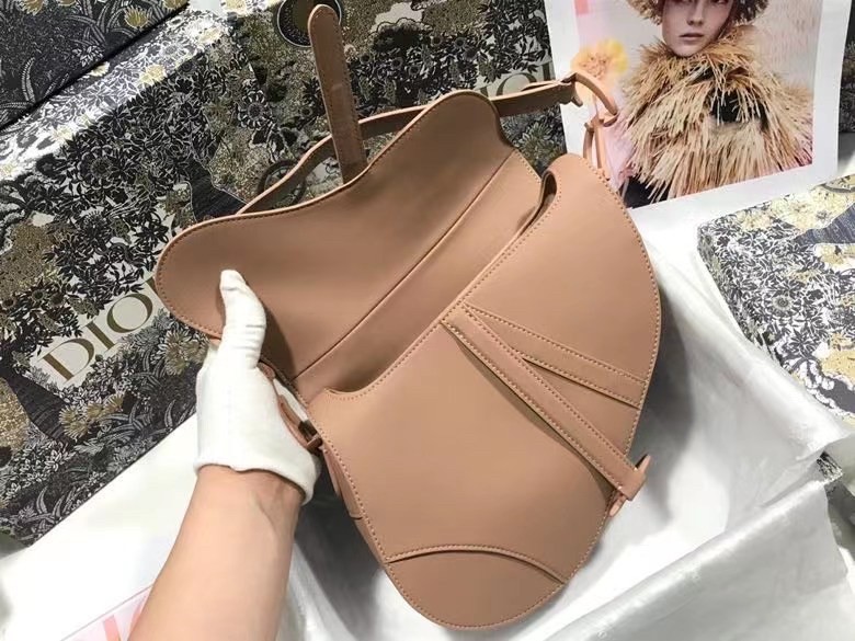 D*or saddle bag in blush ultramatte calfskin