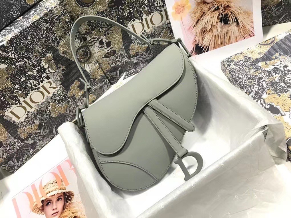 D*or saddle bag in grey ultramatte calfskin