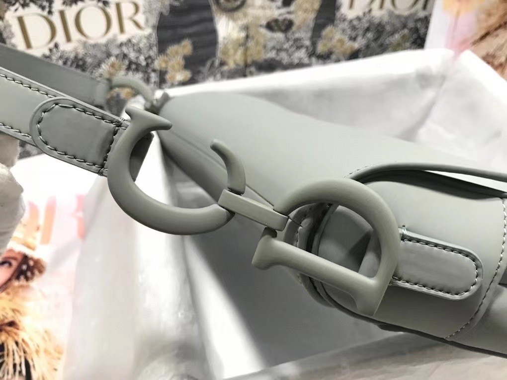 D*or saddle bag in grey ultramatte calfskin