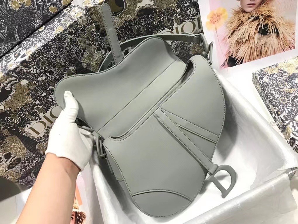 D*or saddle bag in grey ultramatte calfskin