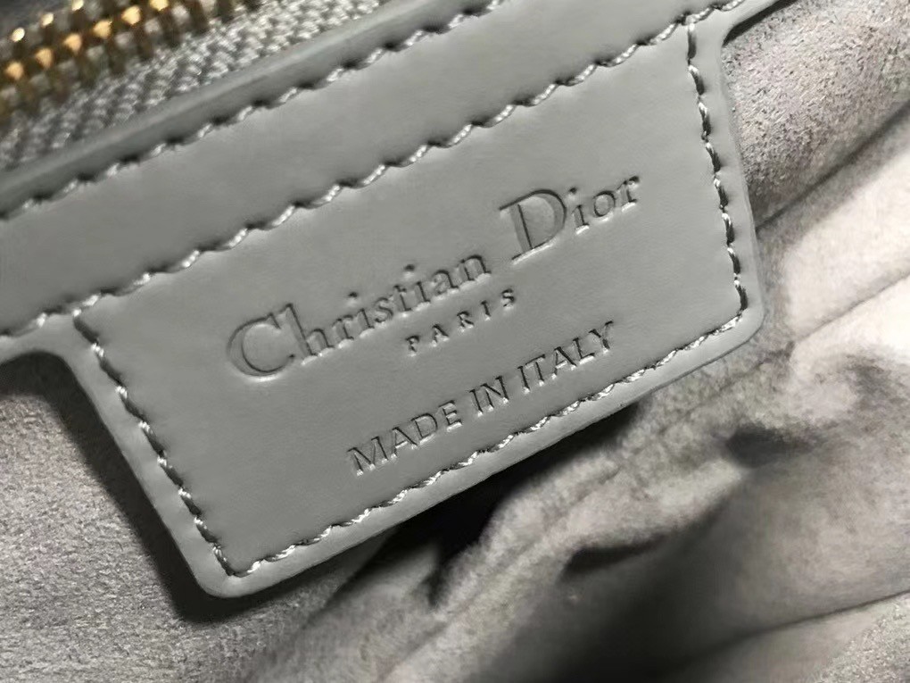 D*or saddle bag in grey ultramatte calfskin