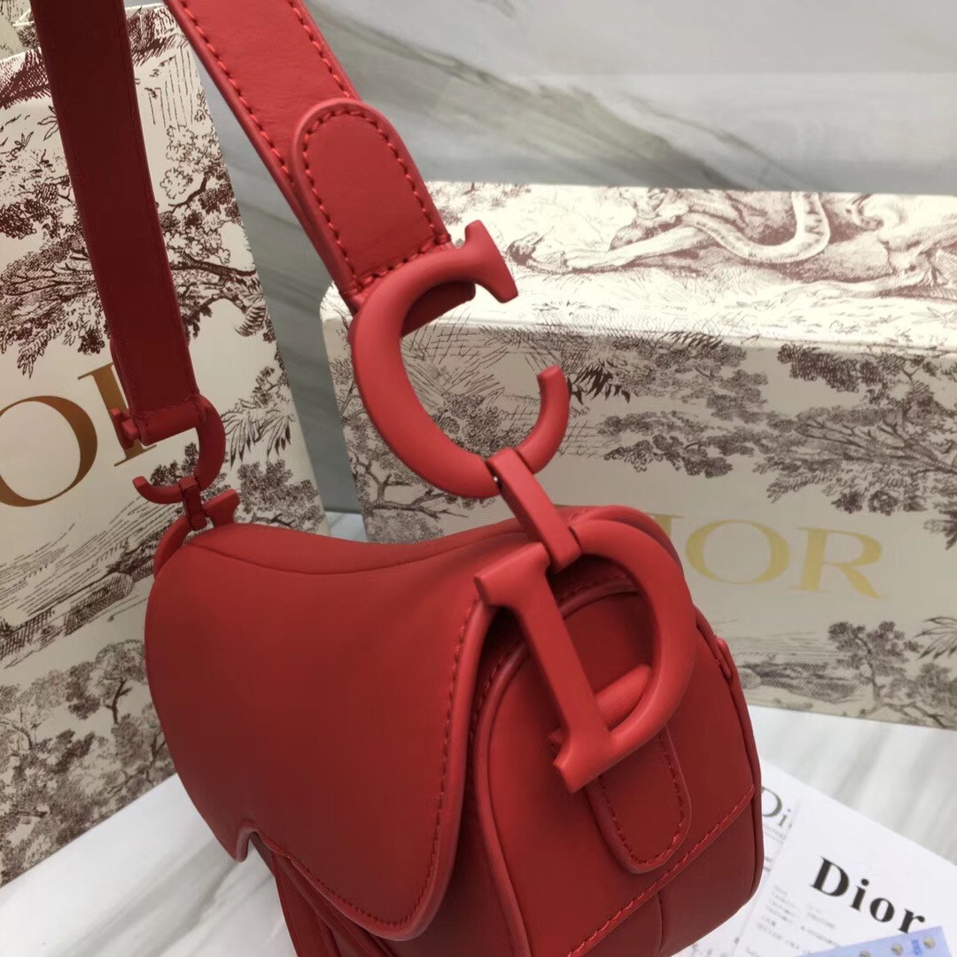 D*or saddle bag in cherry red matte calfskin