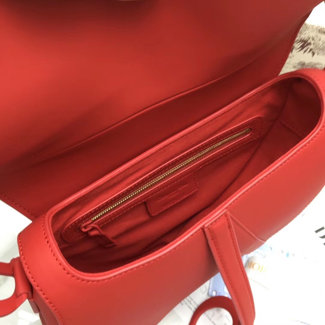 D*or saddle bag in cherry red matte calfskin