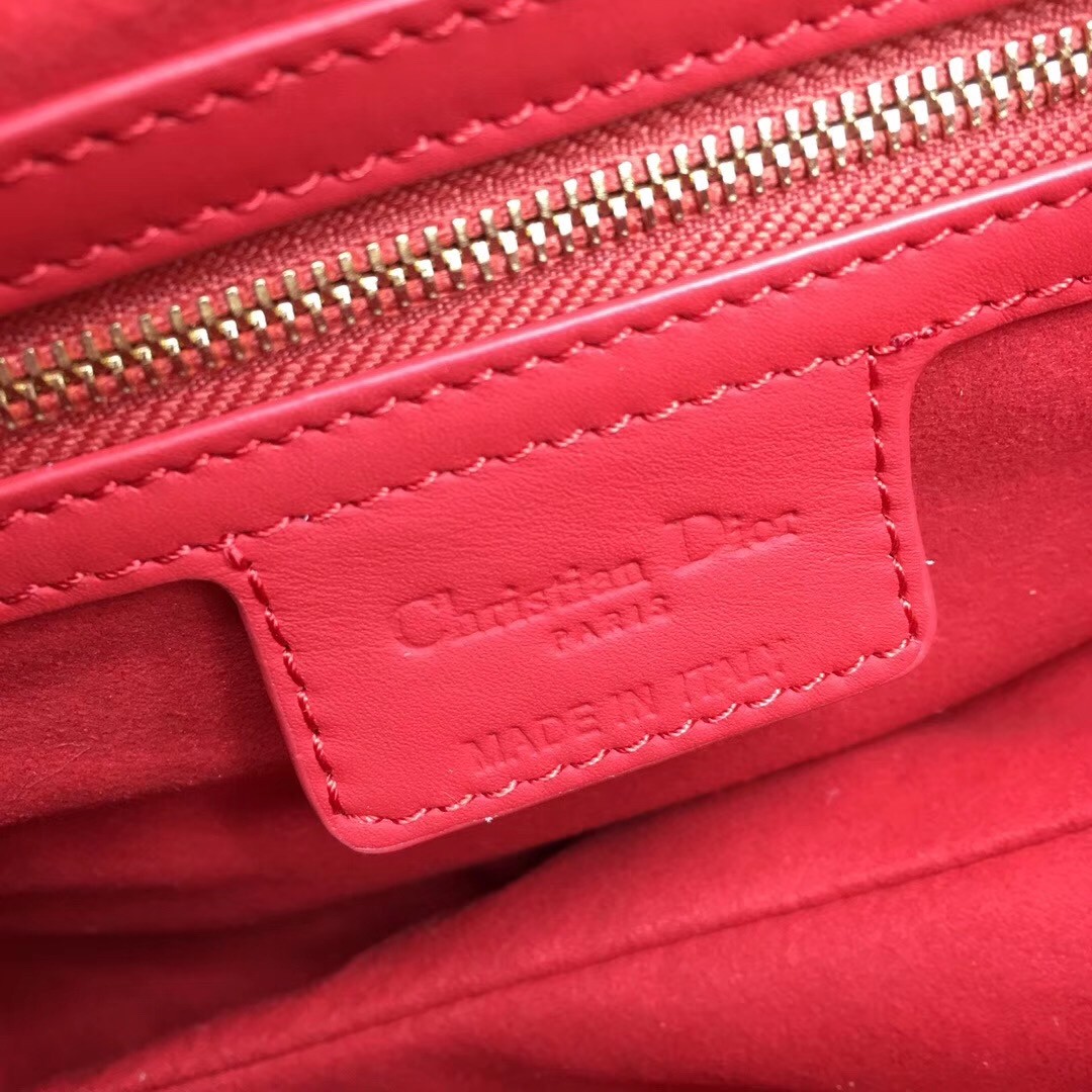 D*or saddle bag in cherry red matte calfskin