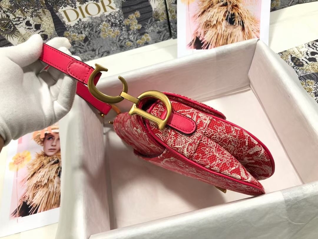 D*or saddle bag in red toile de jouy reverse jacquard