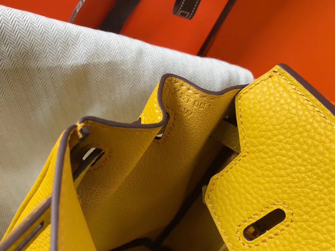 H**mes birkin 25cm bag in soleil clemence leather