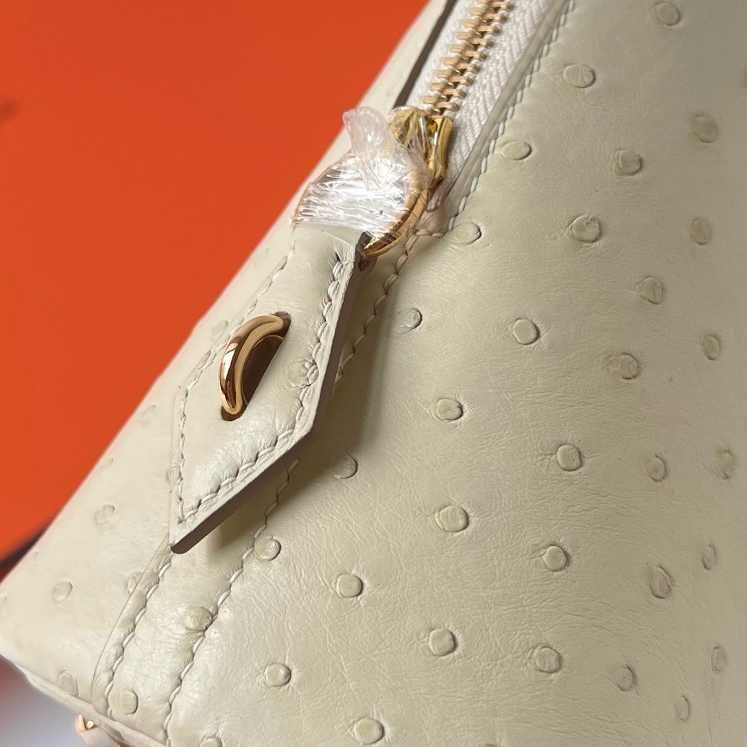 H**mes bolide 1923 25 handmade bag in parchemin ostrich leather