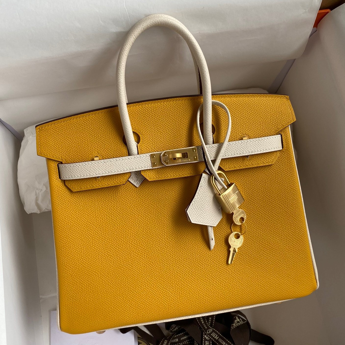 H**mes hss birkin 25 bicolor bag in jaune d