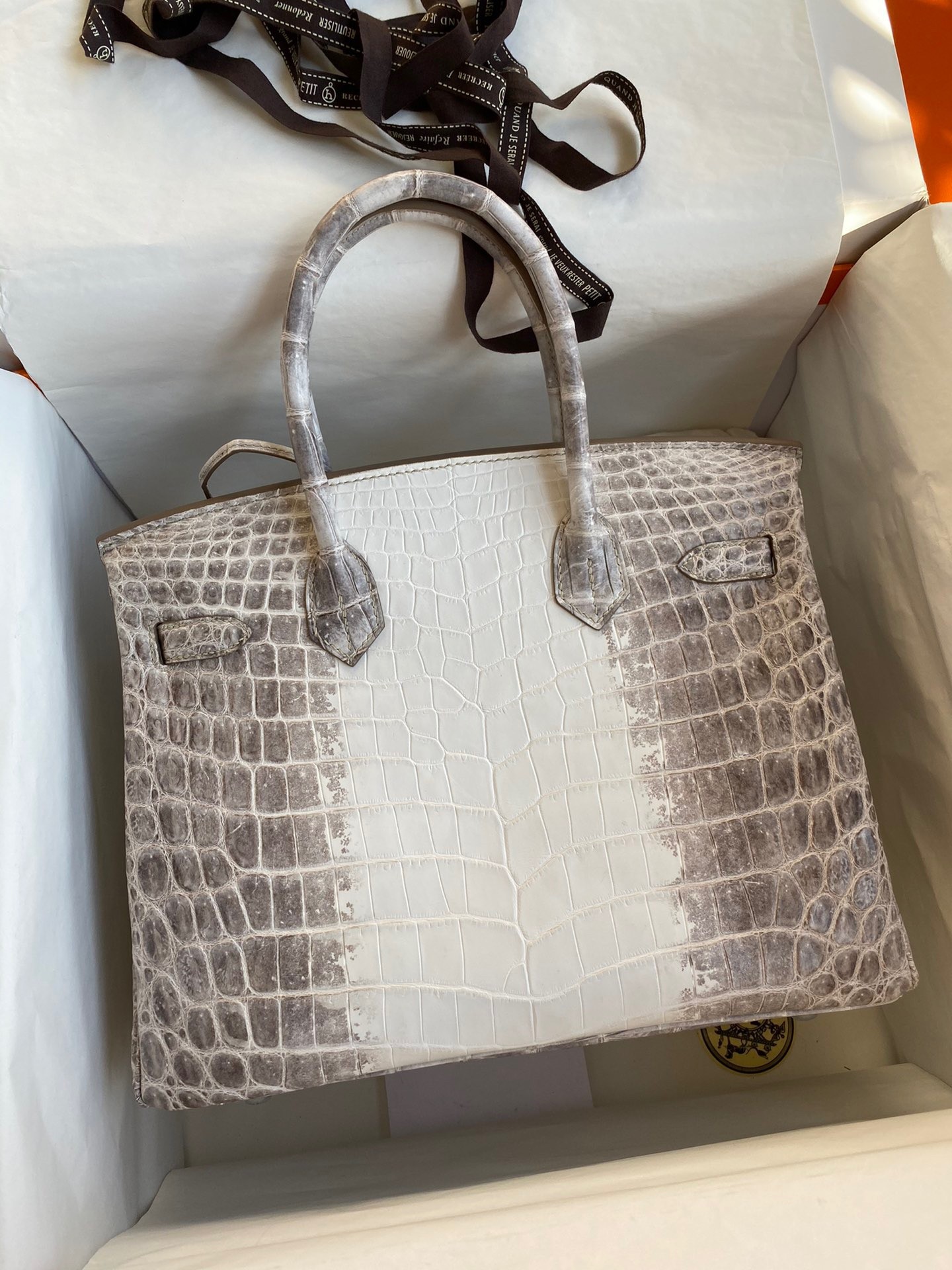 H**mes birkin 25 retourne bag in himalaya niloticus crocodile skin