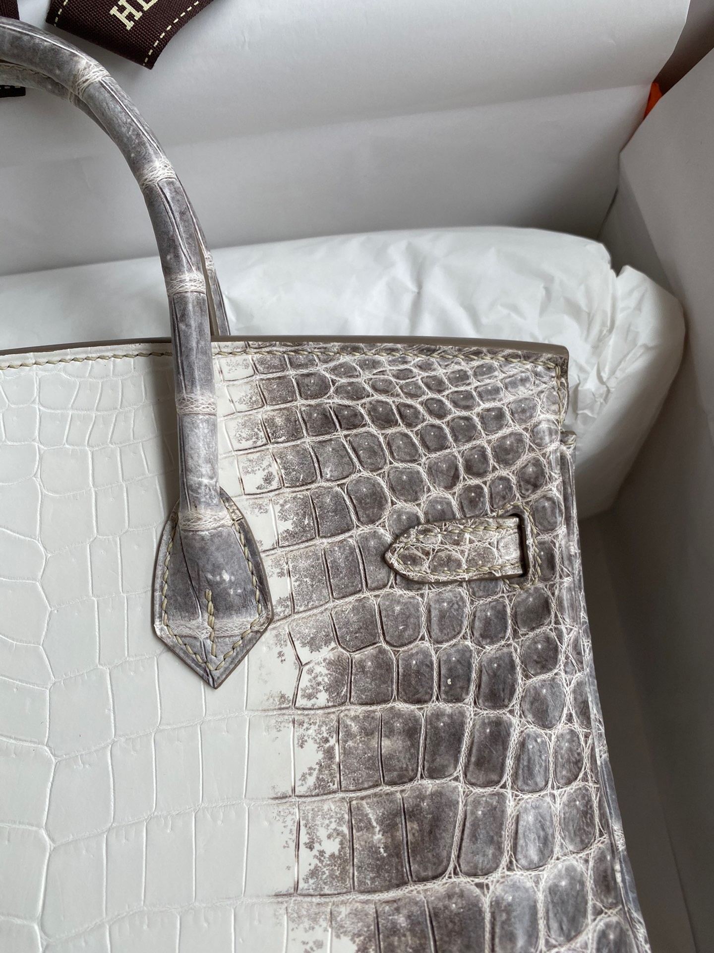 H**mes birkin 25 diamond bag in himalaya niloticus crocodile skin
