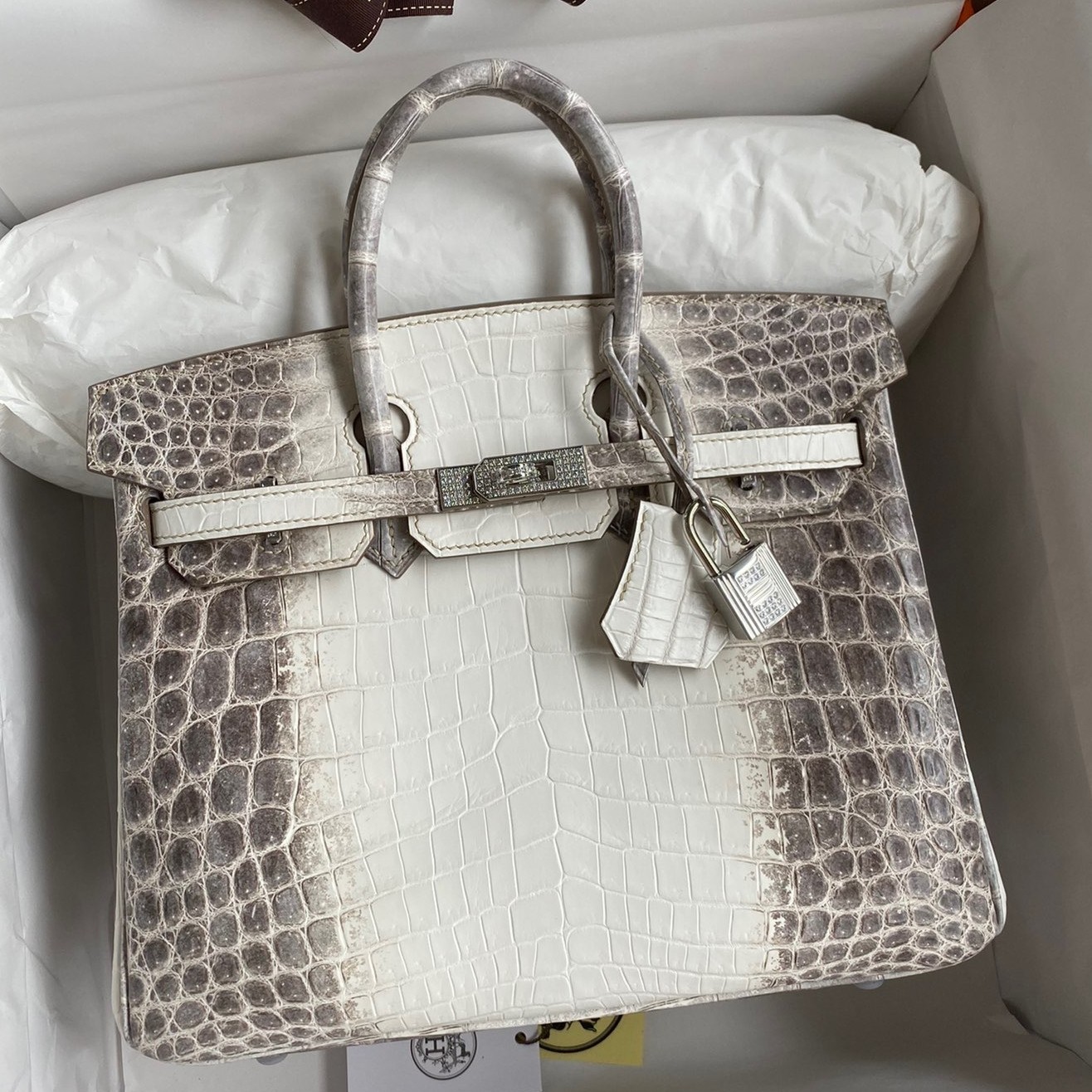 H**mes birkin 25 diamond bag in himalaya niloticus crocodile skin