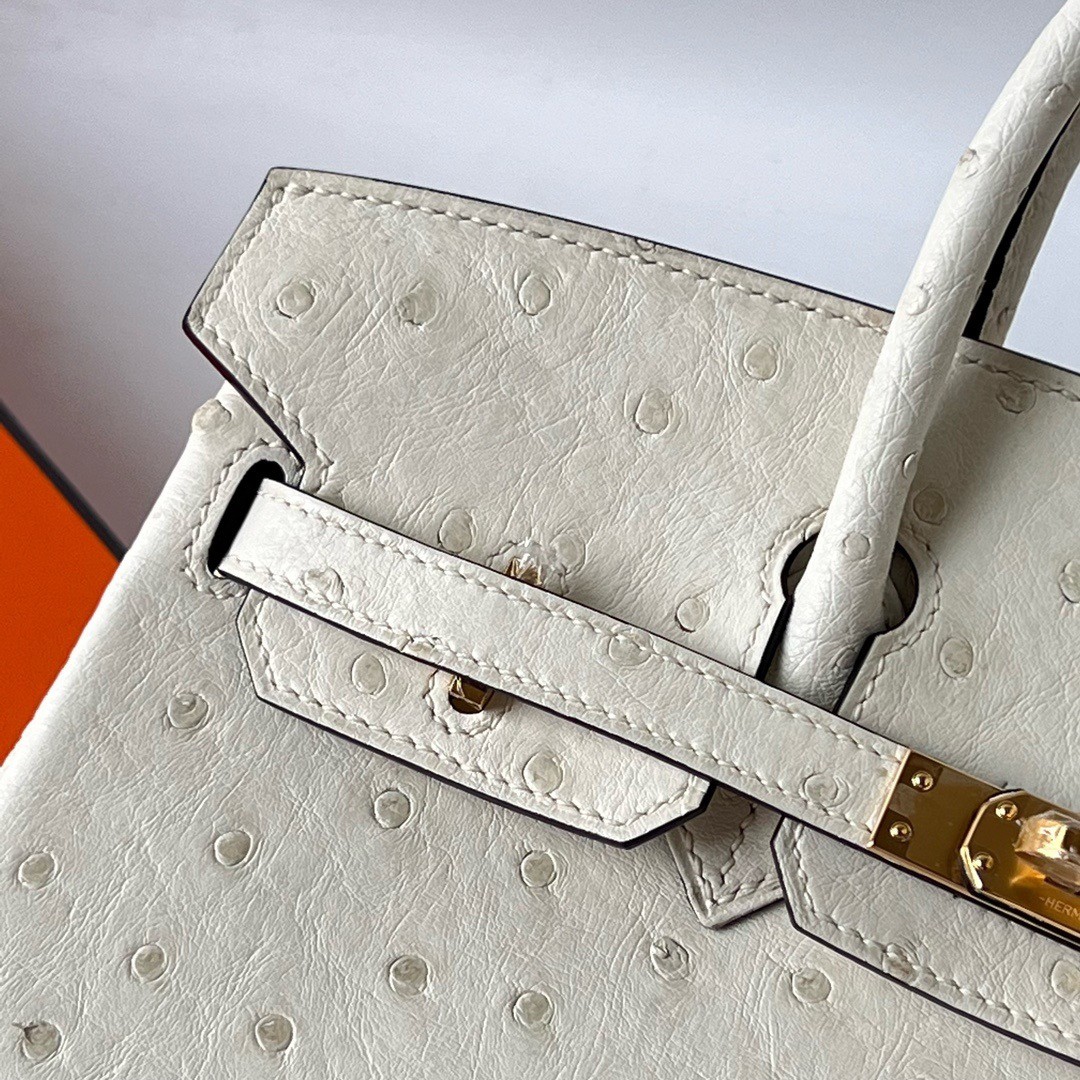 H**mes birkin 25 retourne handmade bag in beton ostrich leather