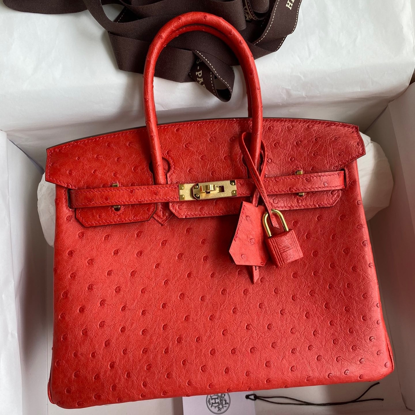 H**mes birkin 25 retourne handmade bag in red ostrich leather