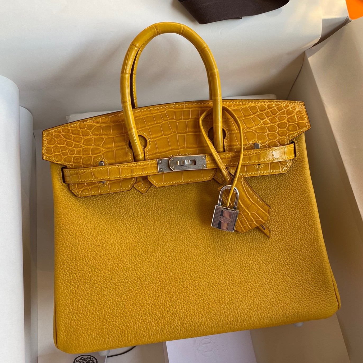 H**mes touch birkin 25 bag in yellow togo and matte alligator leather