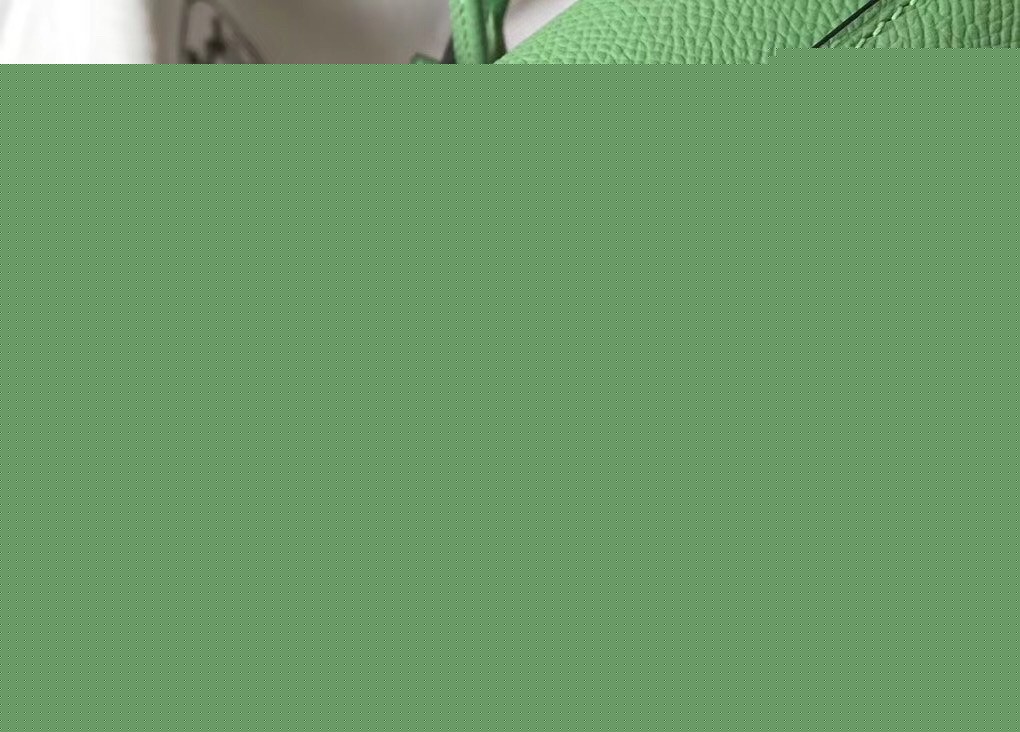 H**mes kelly 25cm sellier bag in vert criquet epsom leather