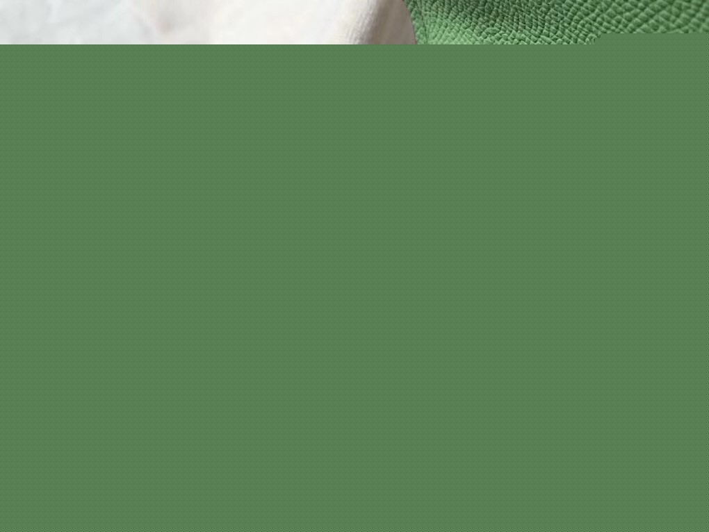 H**mes kelly 25cm sellier bag in vert criquet epsom leather